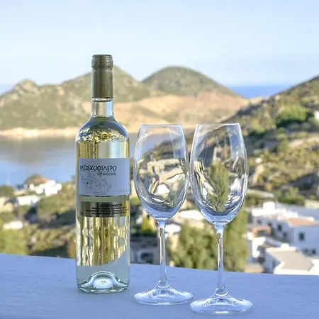 Lejlighed Nektarios *