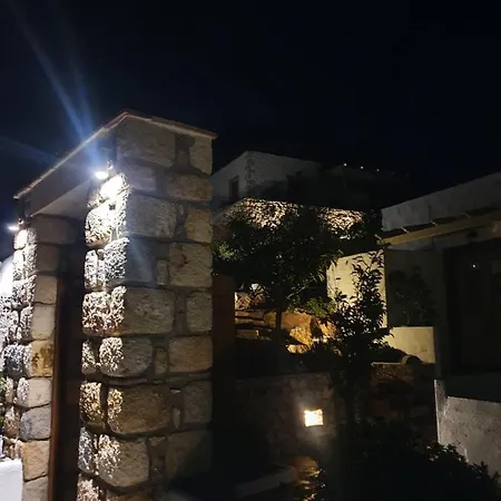 Nektarios Lejlighed *